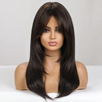 Women's Simple Style Street High Temperature Wire Side Fringe Long Straight Hair Wig Net sku image 2
