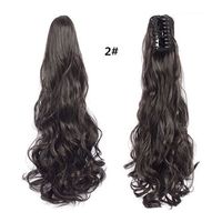 Women's Simple Style Casual Street High Temperature Wire Long Curly Hair Wigs sku image 1