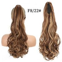 Women's Simple Style Casual Street High Temperature Wire Long Curly Hair Wigs main image 4