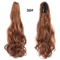 Women's Simple Style Casual Street High Temperature Wire Long Curly Hair Wigs sku image 4