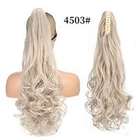 Women's Simple Style Casual Street High Temperature Wire Long Curly Hair Wigs main image 5