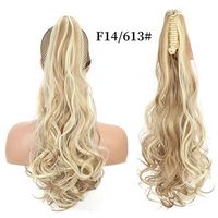 Women's Simple Style Casual Street High Temperature Wire Long Curly Hair Wigs main image 2