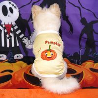 Halloween Skull Pet Clothes Puppy Dog Pumpkin Bucket Black New Cross-border Cat Pet Costume Pumpkin Ghost main image 4