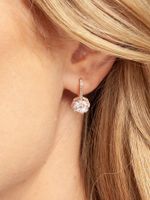 1 Pair Luxurious Round Inlay Sterling Silver Zircon Drop Earrings main image 2