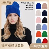 Unisex Simple Style Solid Color Eaveless Wool Cap sku image 20