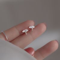 1 Pair Simple Style Commute Ginkgo Leaf Copper Ear Studs main image 4