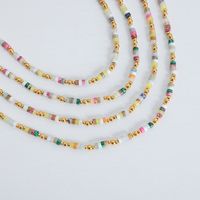 Vacation Modern Style Roman Style Multicolor Natural Stone Beaded Knitting Plating 18k Gold Plated Women's Necklace main image 5
