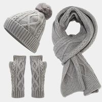 Women's Casual Simple Style Solid Color Acrylic Scarf Hat Gloves 1 Set sku image 3