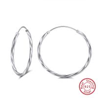 1 Pair Modern Style Classic Style Korean Style Circle Plating Sterling Silver White Gold Plated Rhodium Plated Silver Plated Hoop Earrings main image 5