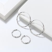 1 Pair Modern Style Classic Style Korean Style Circle Plating Sterling Silver White Gold Plated Rhodium Plated Silver Plated Hoop Earrings main image 3