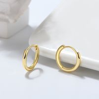 1 Pair Modern Style Classic Style Korean Style Circle Polishing Plating Sterling Silver 14k Gold Plated White Gold Plated Rhodium Plated Hoop Earrings main image 4