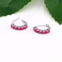 1 Pair Lady Solid Color Inlay Sterling Silver Zircon Earrings main image 4