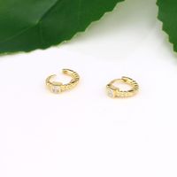 1 Pair Basic Round Plating Inlay Sterling Silver Zircon Earrings main image 1