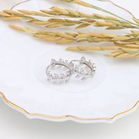 1 Pair Elegant Leaf Inlay Sterling Silver Zircon Earrings main image 3