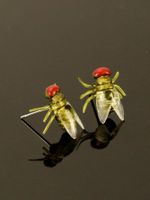1 Pair Funny Simple Style Insect Fly Alloy Resin Ear Studs main image 5