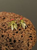 1 Pair Funny Simple Style Insect Fly Alloy Resin Ear Studs main image 6