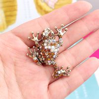 Simple Style Commute Frog Alloy Asymmetrical Rhinestones Women's Brooches main image 2