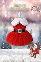New Pet Christmas Clothes Winter Old Classic Dog Christmas Dress Winter New Year Dress Holiday Factory main image 3