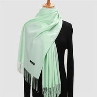Women's Modern Style Solid Color Imitation Cashmere Scarf sku image 22