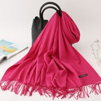 Women's Modern Style Solid Color Imitation Cashmere Scarf sku image 26