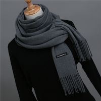 Women's Modern Style Solid Color Imitation Cashmere Scarf sku image 24