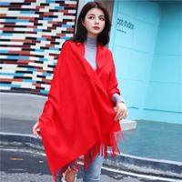 Women's Modern Style Solid Color Imitation Cashmere Scarf main image 5