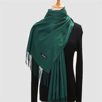 Women's Modern Style Solid Color Imitation Cashmere Scarf sku image 17