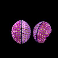 1 Pair Vintage Style Solid Color Inlay Copper Rhinestones Hoop Earrings main image 1