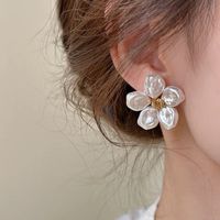 1 Pair Simple Style Flower Plating Alloy Ear Studs main image 6