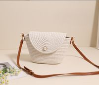 Women's Medium Polyester Solid Color Vintage Style Classic Style Square Magnetic Buckle Jelly Bag main image 4