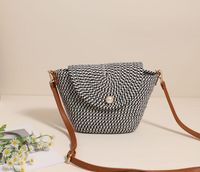 Women's Medium Polyester Solid Color Vintage Style Classic Style Square Magnetic Buckle Jelly Bag sku image 3