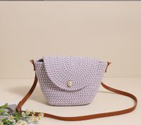 Femmes Moyen Polyester Couleur Unie Style Vintage Style Classique Carré Boucle Magnétique Sac De Gelée main image 2