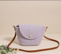 Women's Medium Polyester Solid Color Vintage Style Classic Style Square Magnetic Buckle Jelly Bag sku image 4