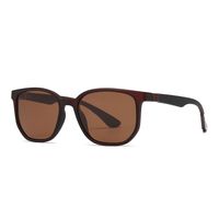 Modern Style Solid Color Pc Oval Frame Full Frame Women's Sunglasses main image 3