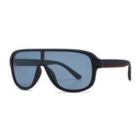 Modern Style Streetwear Solid Color Pc Toad Glasses Full Frame Men's Sunglasses sku image 4