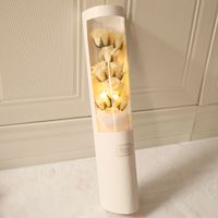 Einfacher Stil Klassischer Stil Blume Seifenblume sku image 3