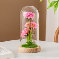 Simple Style Classic Style Flower Plastic Flowers Preserved Flower Ornaments main image 1
