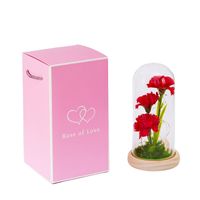 Simple Style Classic Style Flower Plastic Flowers Preserved Flower Ornaments main image 3