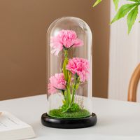 Simple Style Classic Style Flower Plastic Flowers Preserved Flower Ornaments sku image 8