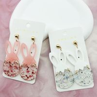 1 Pair Cute Retro Animal Arylic Drop Earrings main image 1