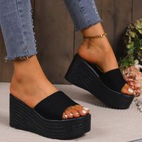 Women's Casual Multicolor Point Toe High Heel Slippers main image 1