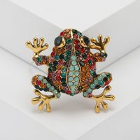 Casual Frog Alloy Women's Brooches main image 5
