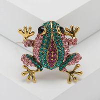 Casual Frog Alloy Women's Brooches main image 4