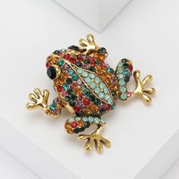 Casual Frog Alloy Women's Brooches main image 3