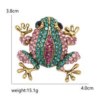 Casual Frog Alloy Women's Brooches main image 2