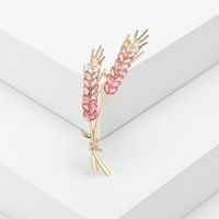 Simple Style Grain Alloy Women's Brooches sku image 3