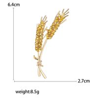 Simple Style Grain Alloy Women's Brooches main image 2