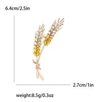 Simple Style Grain Alloy Women's Brooches sku image 4