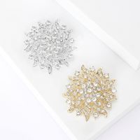 Lady Flower Alloy Inlay Rhinestones Women's Brooches main image 1