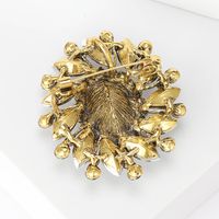 Simple Style Flower Alloy Inlay Glass Women's Brooches main image 5
